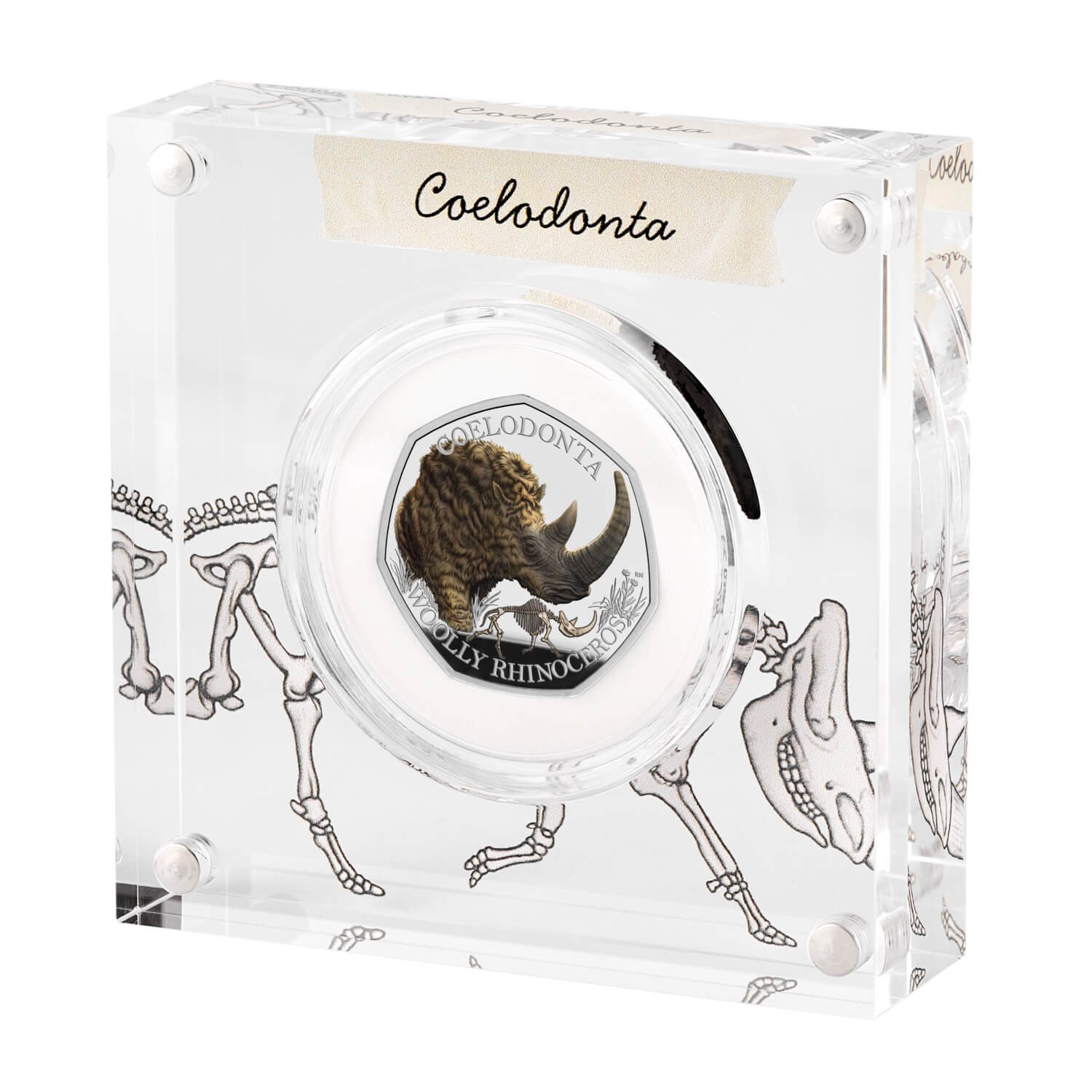 Woolly Rhinoceros 2024 UK 50p Silver Proof Colour Coin